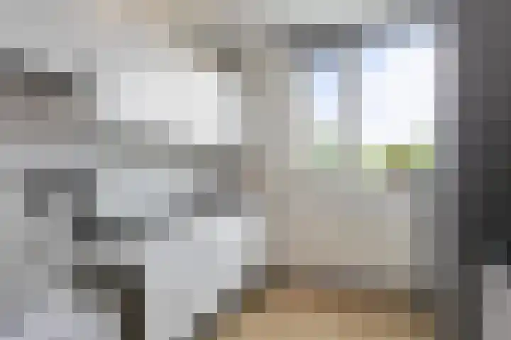 Het Vlier 158 Deventer thumbnail 11