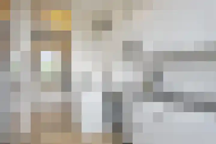 Het Vlier 158 Deventer thumbnail 13