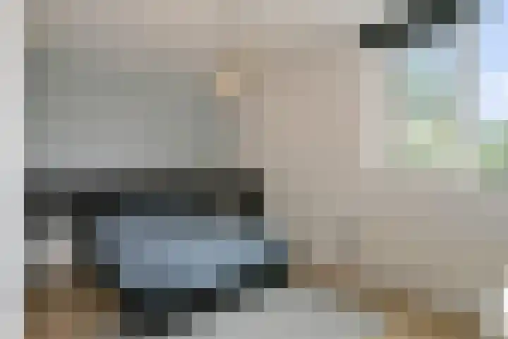 Het Vlier 158 Deventer thumbnail 14