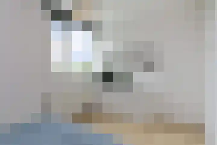 Het Vlier 158 Deventer thumbnail 15