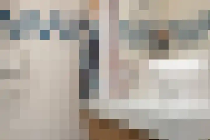 Het Vlier 158 Deventer thumbnail 21