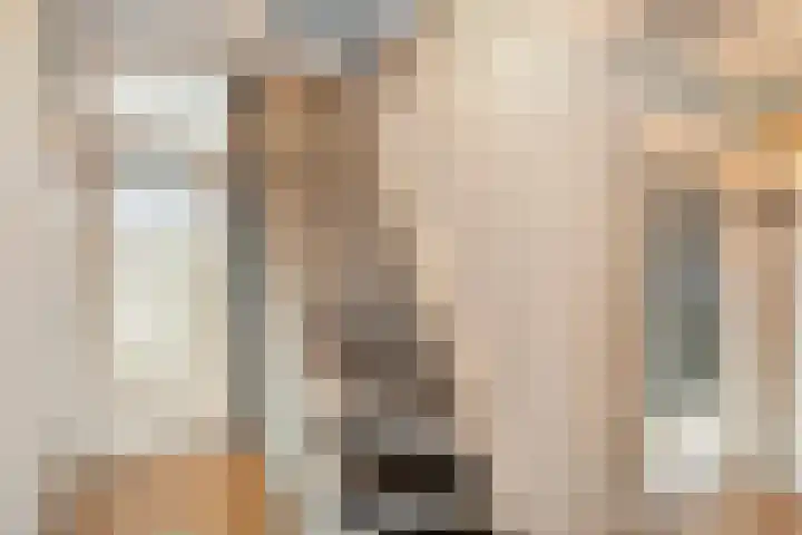 Het Vlier 158 Deventer thumbnail 24