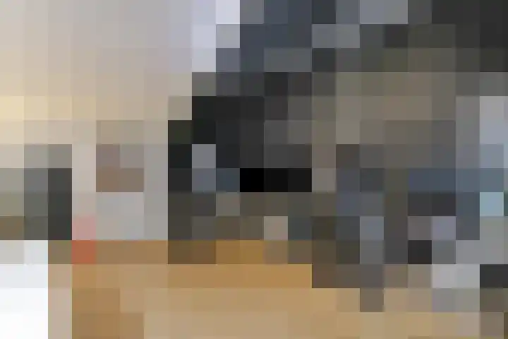 Het Vlier 158 Deventer thumbnail 25