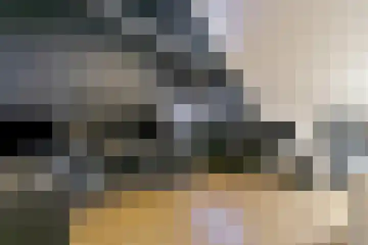 Het Vlier 158 Deventer thumbnail 26