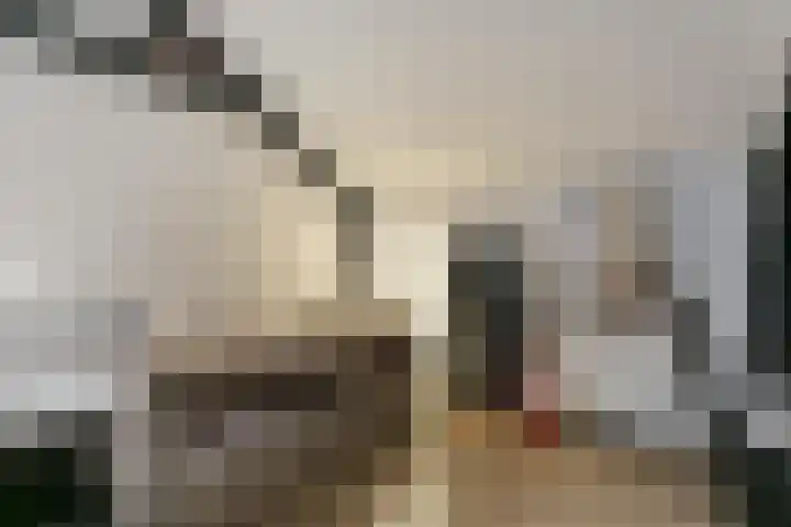 Het Vlier 158 Deventer thumbnail 27