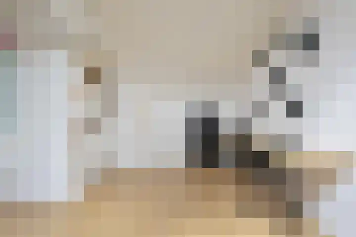 Het Vlier 158 Deventer thumbnail 28