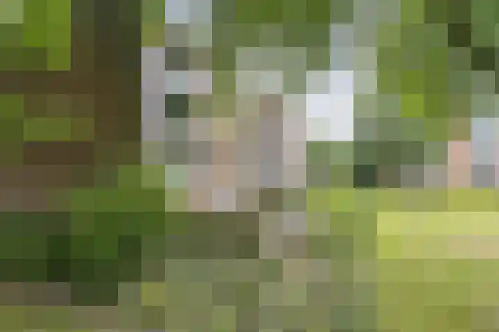 Het Vlier 158 Deventer thumbnail 31