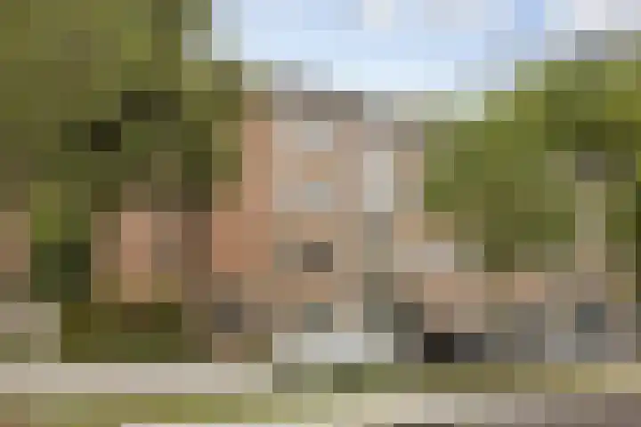 Het Vlier 158 Deventer thumbnail 32