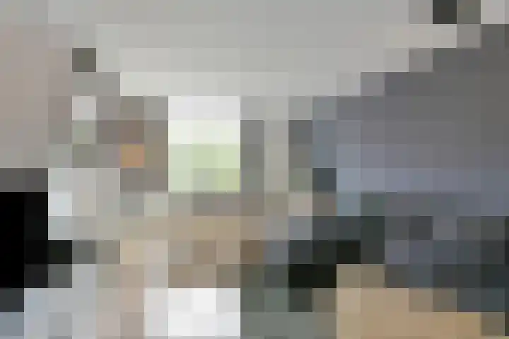 Het Vlier 158 Deventer thumbnail 4