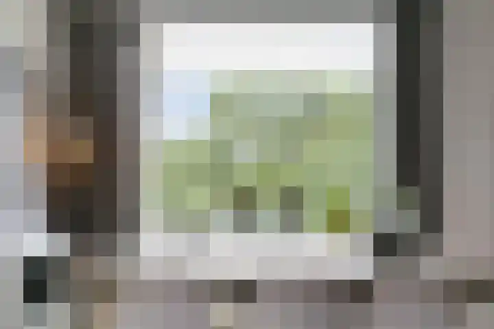Het Vlier 158 Deventer thumbnail 6