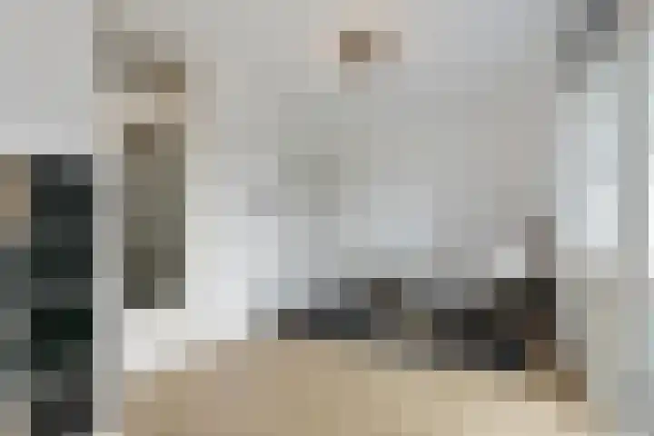 Het Vlier 158 Deventer thumbnail 7