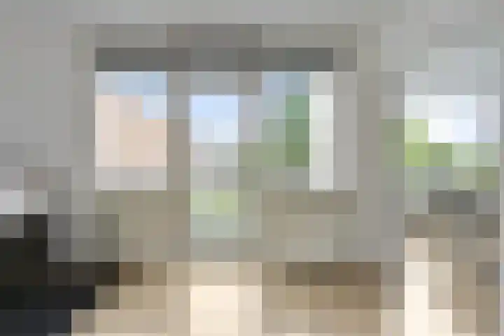 Het Vlier 158 Deventer thumbnail 8