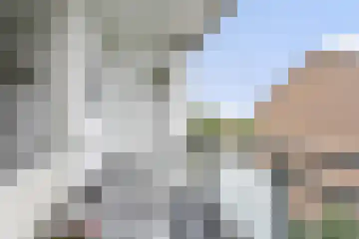 Het Vlier 158 Deventer thumbnail 9
