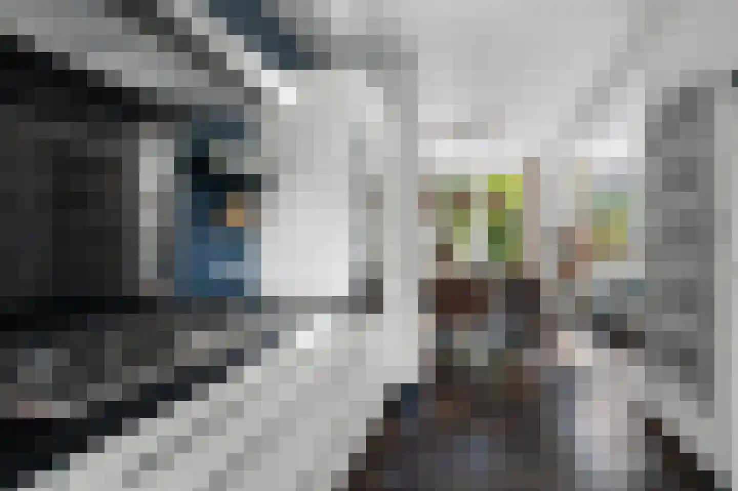 Het Vlier 27 Deventer thumbnail 10