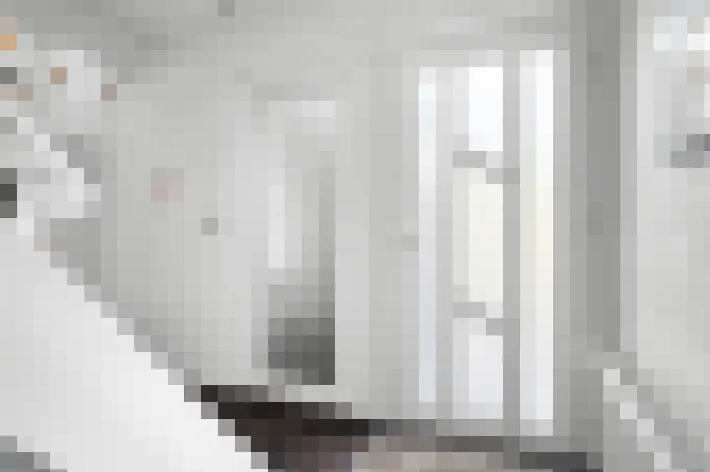 Het Vlier 27 Deventer thumbnail 11