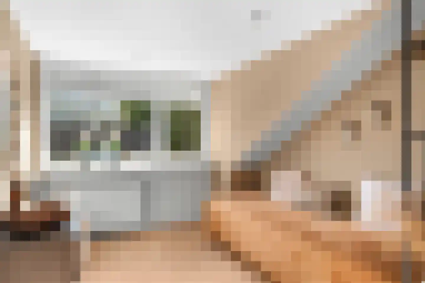 Het Vlier 27 Deventer thumbnail 29