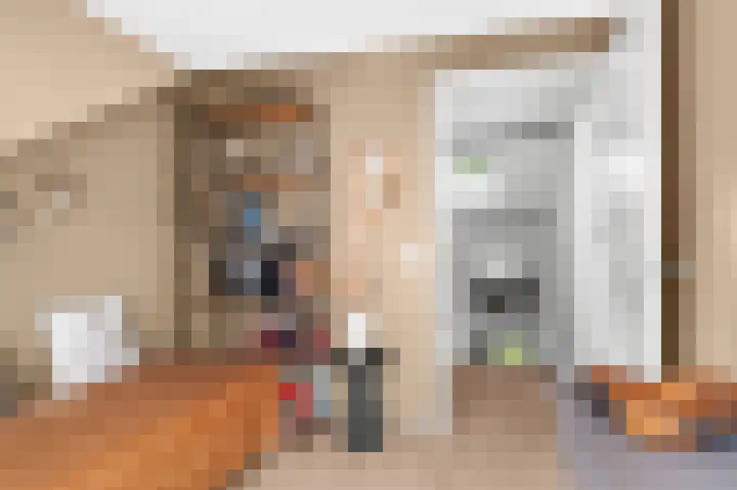 Het Vlier 27 Deventer thumbnail 30