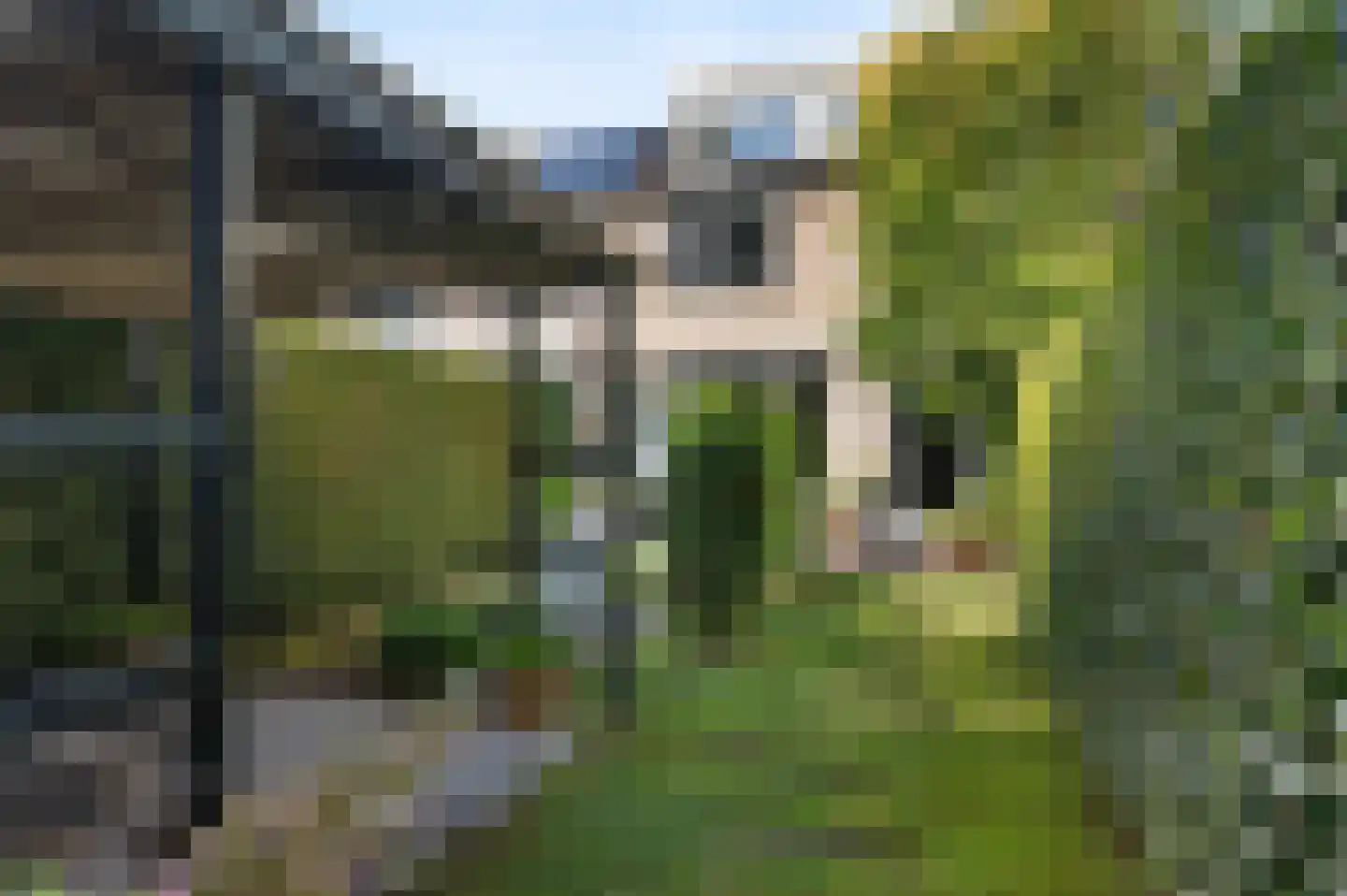 Het Vlier 27 Deventer thumbnail 33