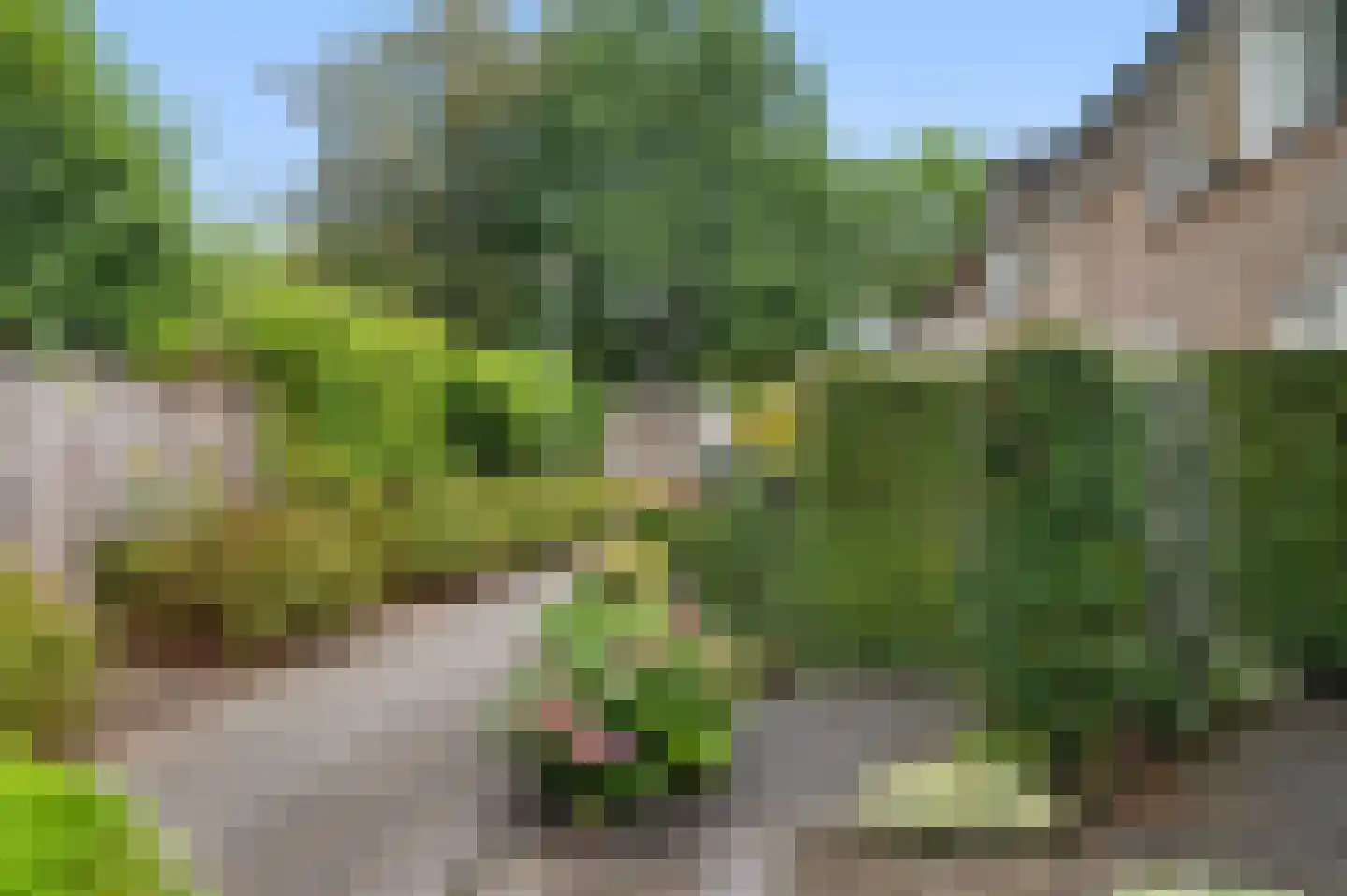 Het Vlier 27 Deventer thumbnail 37