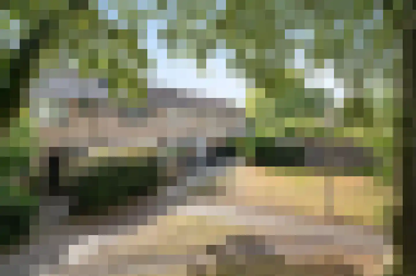 Het Vlier 27 Deventer thumbnail 40