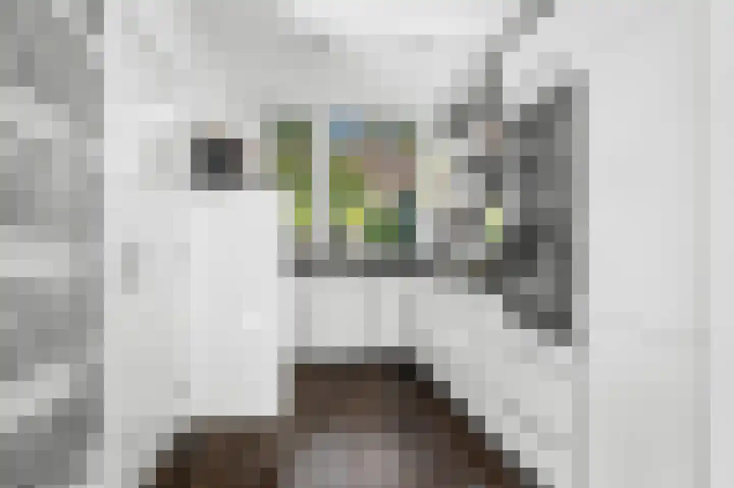 Het Vlier 27 Deventer thumbnail 8