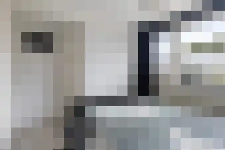 Het Vliet 19 Drachten thumbnail 33