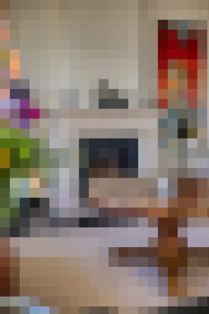 Het Voert 36 Grootebroek thumbnail 17