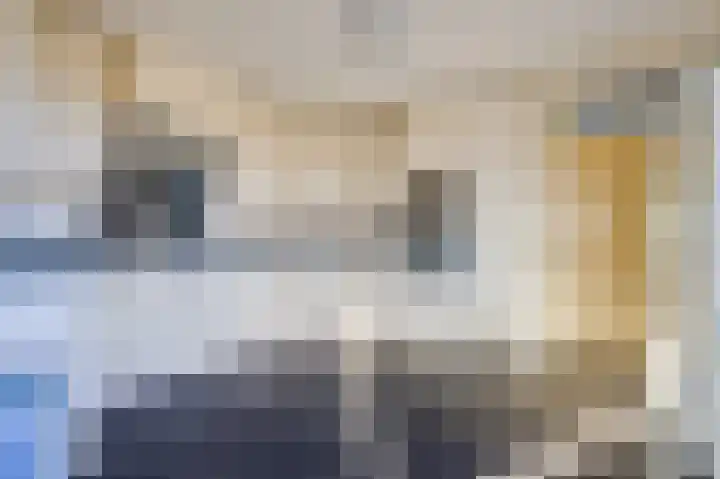 Het Voert 36 Grootebroek thumbnail 26