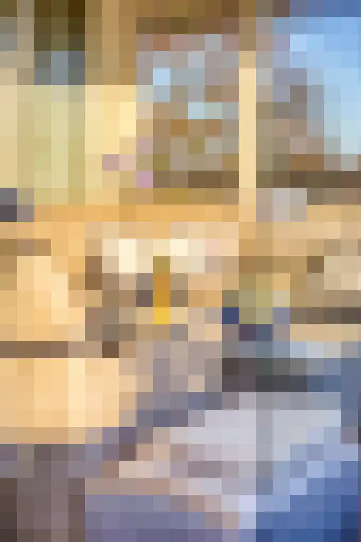 Het Voert 36 Grootebroek thumbnail 33