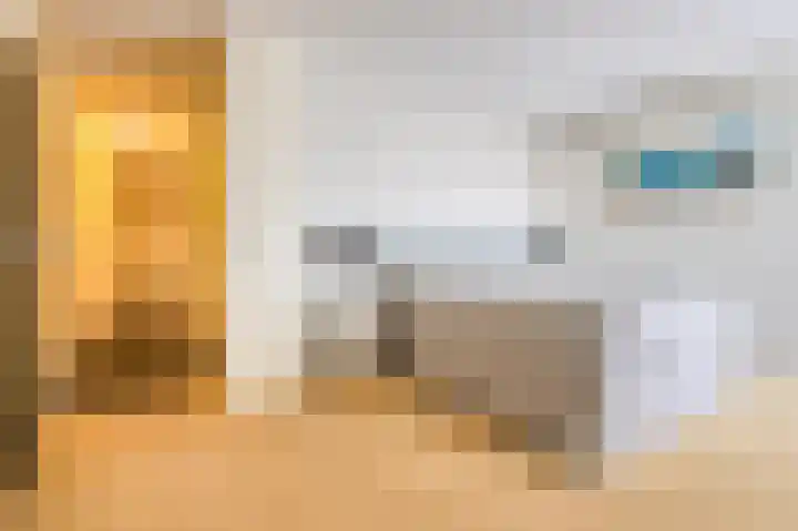 Het Voert 36 Grootebroek thumbnail 41