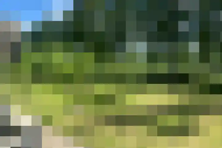 Het Voert 42 Grootebroek thumbnail 13