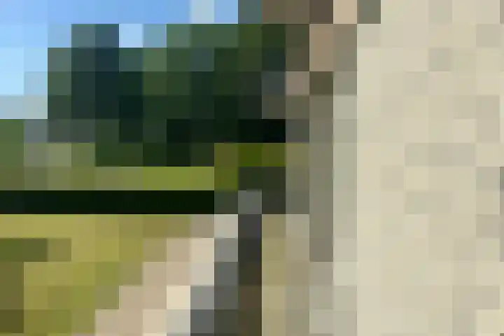 Het Voert 42 Grootebroek thumbnail 14
