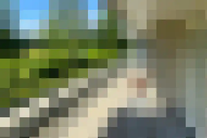Het Voert 42 Grootebroek thumbnail 22
