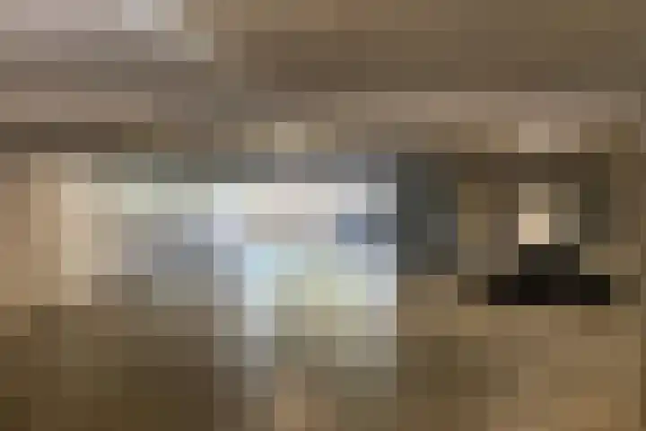 Het Voert 42 Grootebroek thumbnail 24