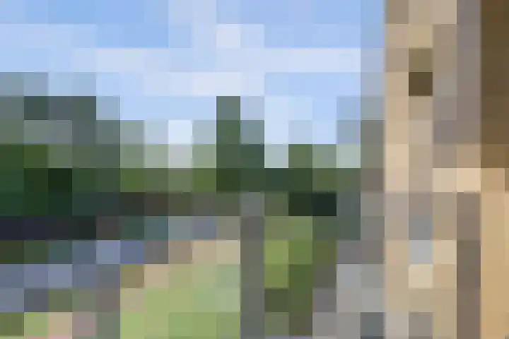 Het Voert 58 Grootebroek thumbnail 17