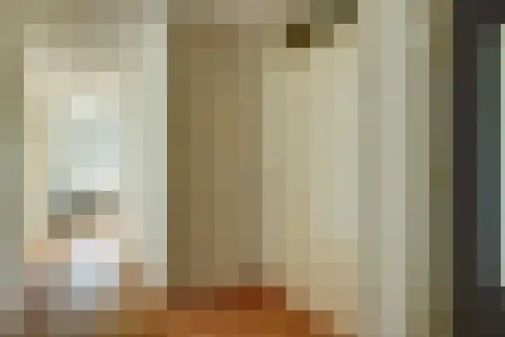 Het Voert 58 Grootebroek thumbnail 9