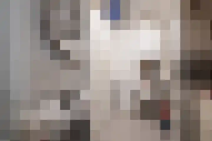 Het Voert 6 Grootebroek thumbnail 11