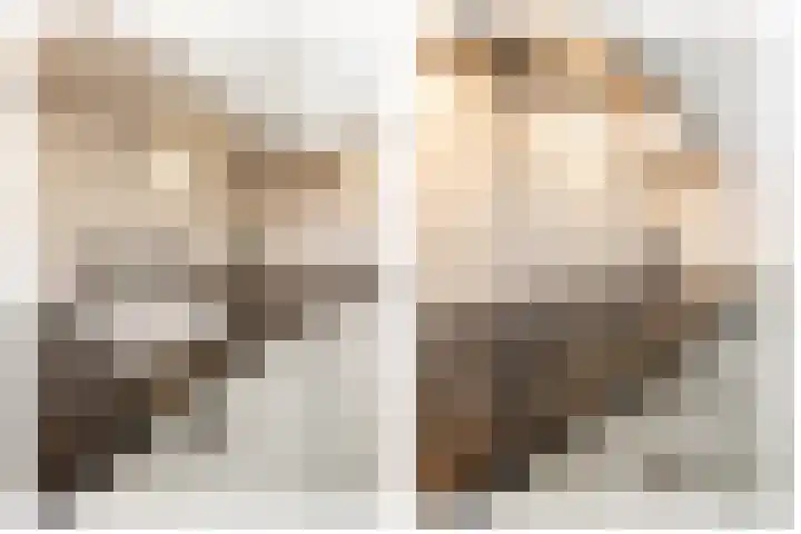 Het Voert 6 Grootebroek thumbnail 16