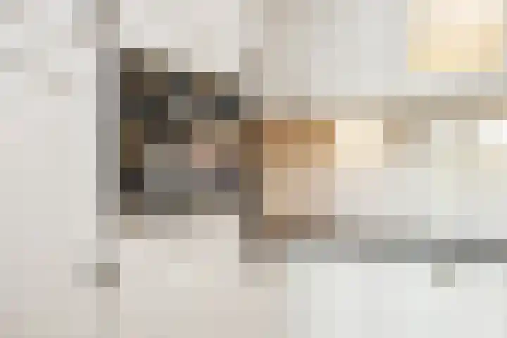 Het Voert 6 Grootebroek thumbnail 17