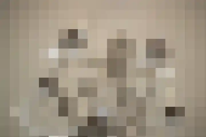 Het Voert 6 Grootebroek thumbnail 18