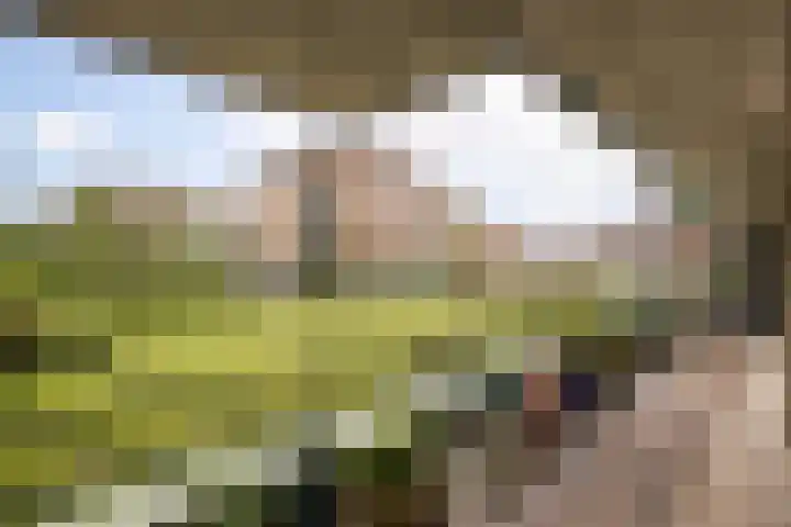 Het Voert 6 Grootebroek foto 2