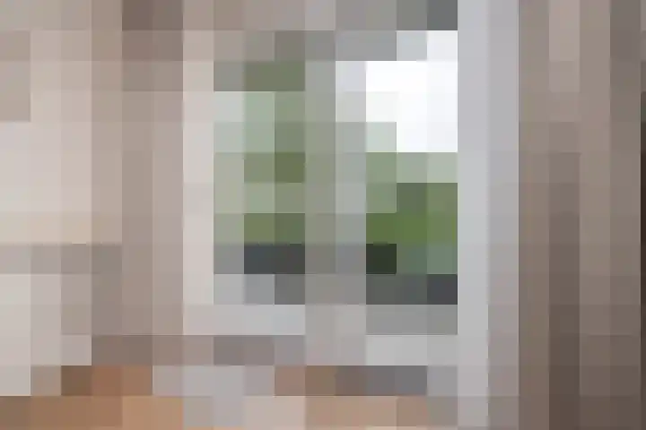 Het Voert 6 Grootebroek thumbnail 20