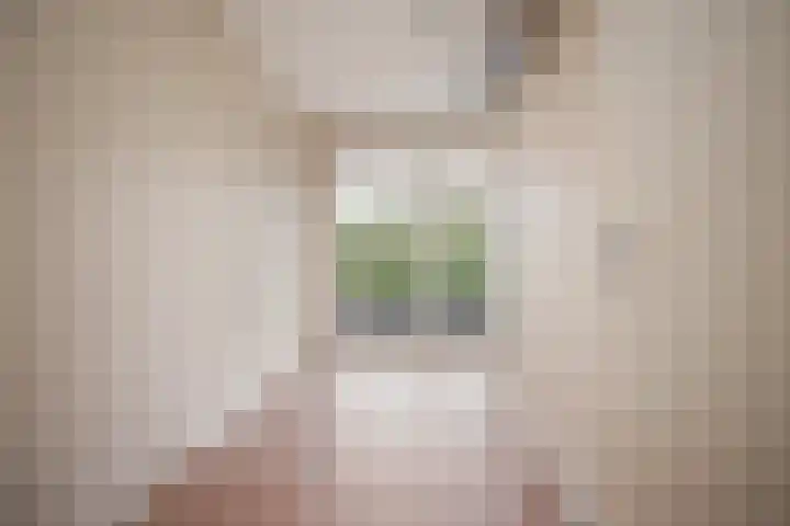 Het Voert 6 Grootebroek thumbnail 22