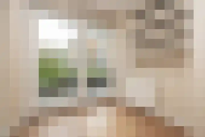 Het Voert 6 Grootebroek thumbnail 23