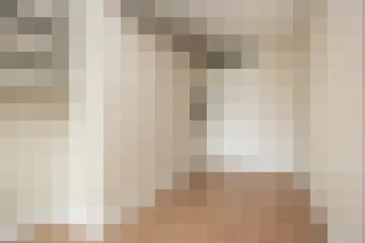 Het Voert 6 Grootebroek thumbnail 24