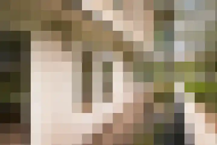 Het Voert 6 Grootebroek thumbnail 29