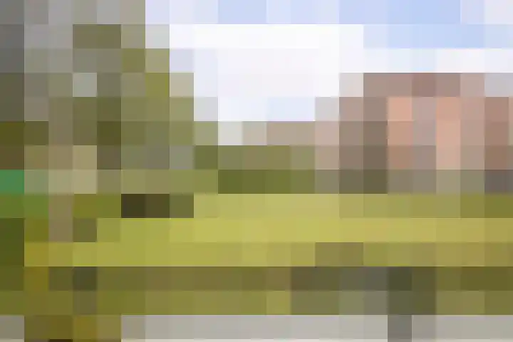 Het Voert 6 Grootebroek thumbnail 30