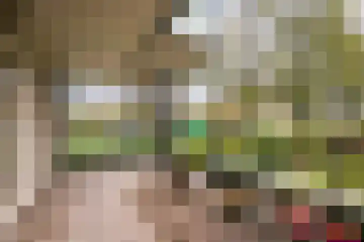 Het Voert 6 Grootebroek thumbnail 31