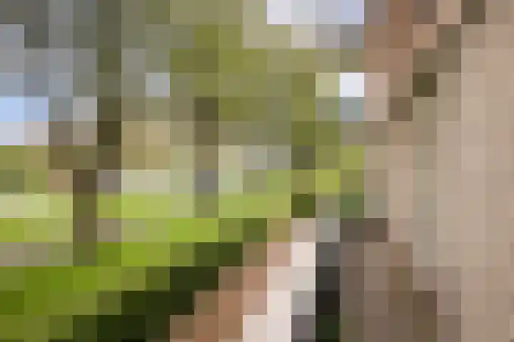Het Voert 6 Grootebroek thumbnail 32