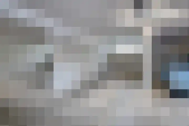 Het Voert 6 Grootebroek thumbnail 33